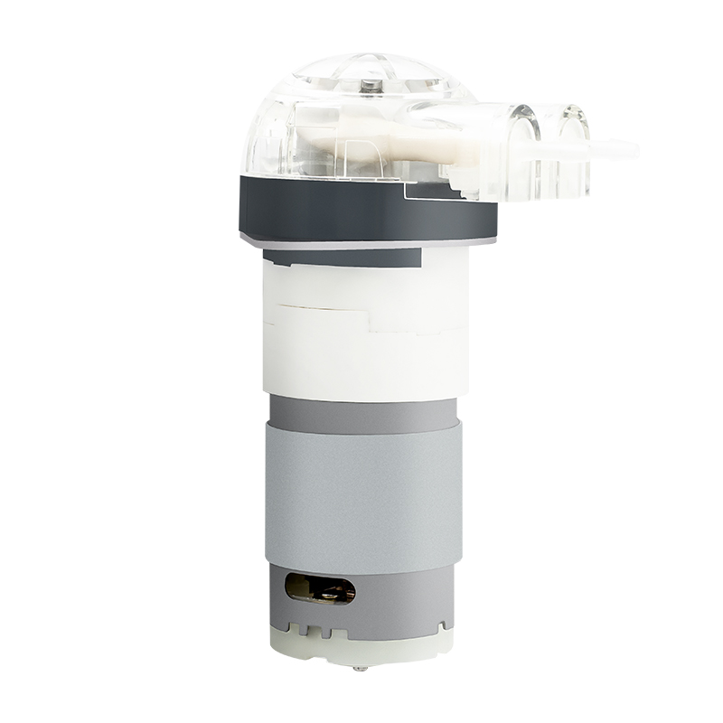 Bomba peristáltica do motor DC LFP102A/DB (faixa de fluxo: 0,5-15 ml/min)